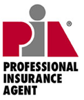 Professional Insurance Agent